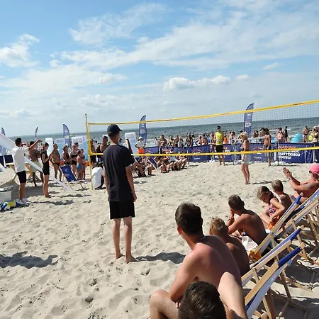 In Mi Dzywodzie Near Baltic